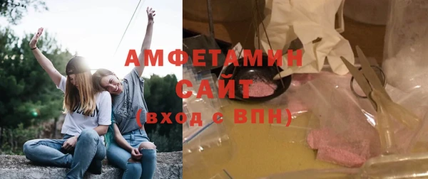 прущие грибы Абдулино