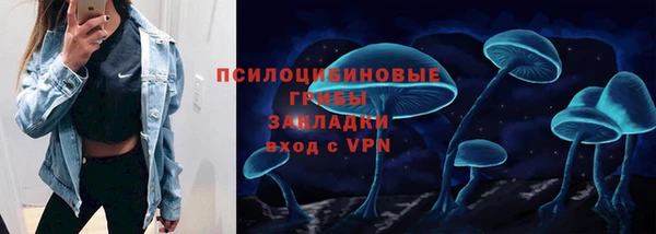Альфа ПВП Алексин