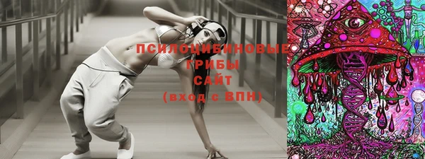 эйфоретик Абаза